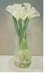 140.calla lily.jpg