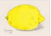 51-Lemon.jpg